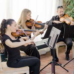 Organic String Quartet, profile image