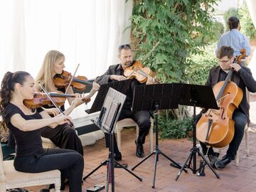 Organic String Quartet - String Quartet - Los Angeles, CA - Hero Main