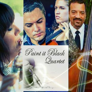 Paint It Black Quartet & More by Beautiful Music  - String Quartet - Orlando, FL - Hero Main
