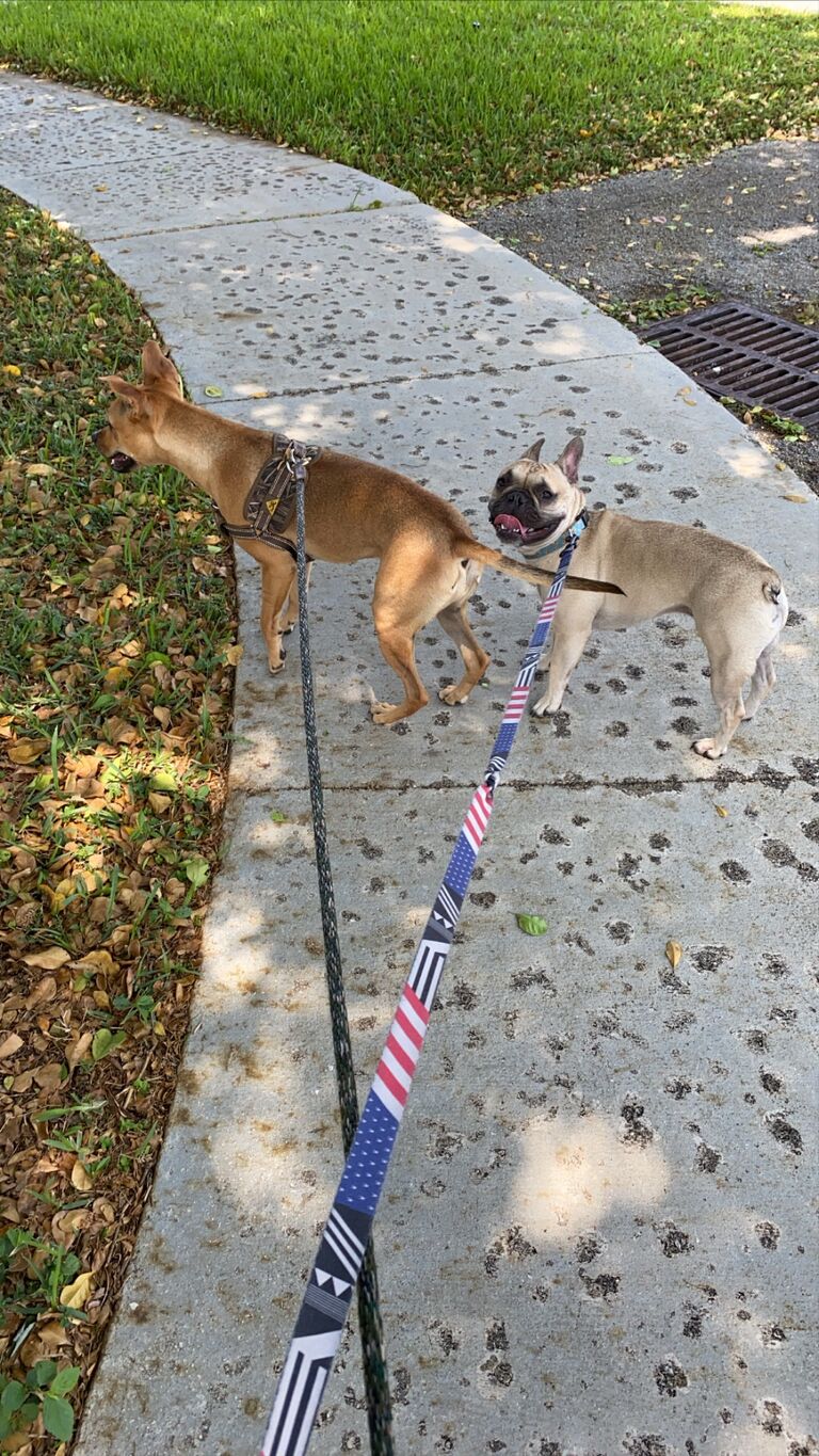 The first time Tazz and Tyson met