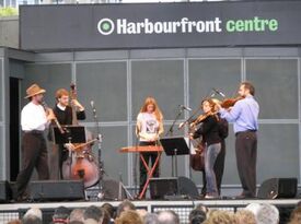 Chicago Klezmer Ensemble - Klezmer Band - Evanston, IL - Hero Gallery 2