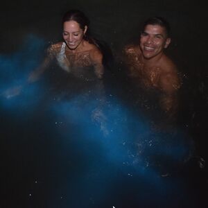 Gallery Photo 25