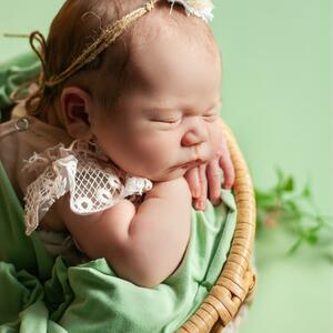 Gallery Photo 4