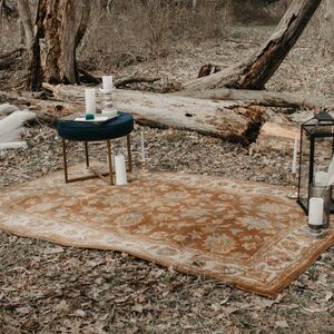 Gallery Photo 55