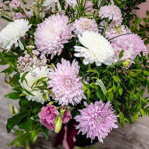 Gallery Photo 160