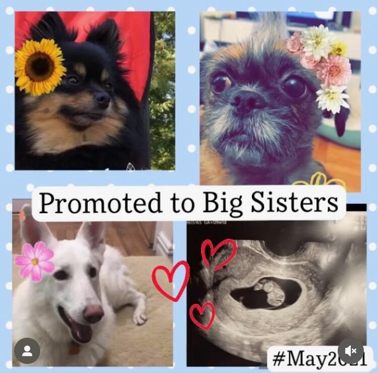 How our family just continued to grow with nothing but love... We found out our girls became big sisters on this day :)