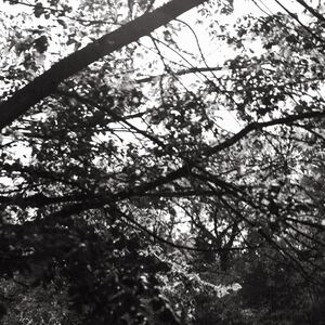 Gallery Photo 14
