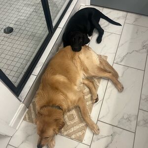 Gallery Photo 34