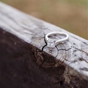 Gallery Photo 11