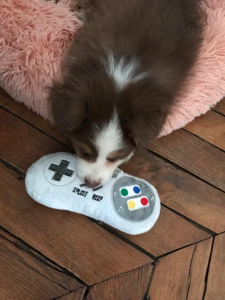 Hendrick's first Video game!