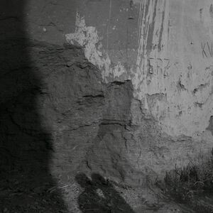 Gallery Photo 20
