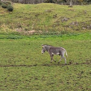 Gallery Photo 159