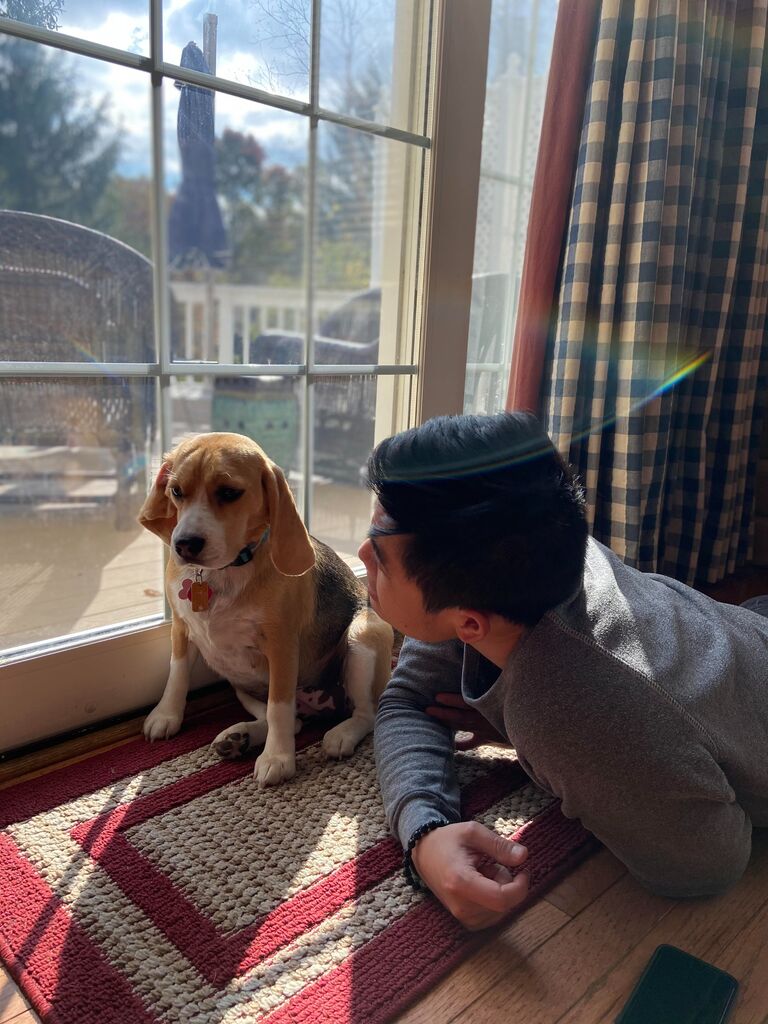 "We'll be able to go out to the park next year, I promise!"