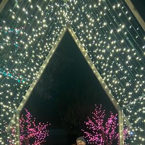 Gallery Photo 29