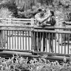 Gallery Photo 5