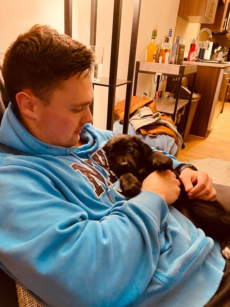 Our first night with Gracie - Alexandria, VA