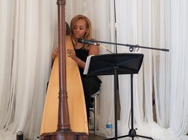 Lyrika Holmes- Atlanta Harpist - Harpist - Smyrna, GA - Hero Gallery 2