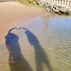 Gallery Photo 8