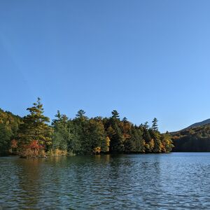 Gallery Photo 32