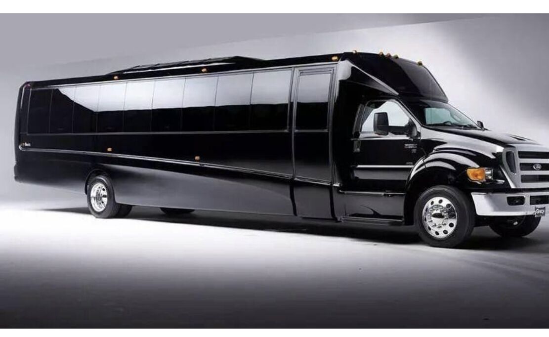 VIP Limo Ms + Updated Prices - The Knot