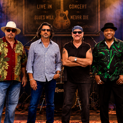 Experience Clapton EC Live!, profile image