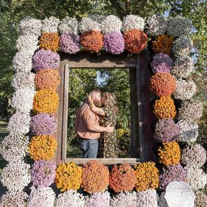 Gallery Photo 62
