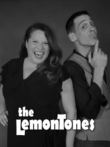 The LemonTones: acoustic guitar and vocal harmony - Acoustic Duo - San Diego, CA - Hero Main