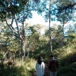 Gallery Photo 9