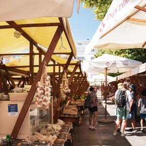 Gallery Photo 185