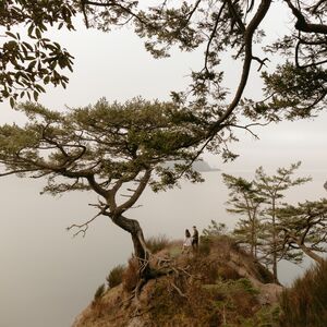 Gallery Photo 170