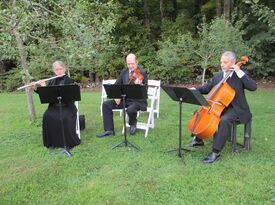 Ensembles For All Occasions - Classical Trio - Montpelier, VT - Hero Gallery 2
