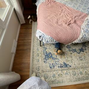 Gallery Photo 134