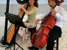Weddings & Concerts Of Florida, Harpist: Melody - Harpist - Daytona Beach, FL - Hero Gallery 2