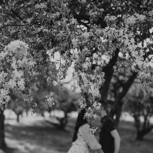Gallery Photo 21