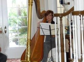 Susan Knapp Thomas, Harpist - Harpist - Palm City, FL - Hero Gallery 2
