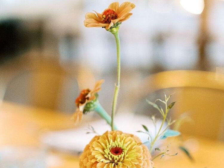 A bud vase with three stems of zinnia blooms