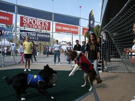 Soccer Dogs - Interactive Game Show Host - Ocala, FL - Hero Gallery 3