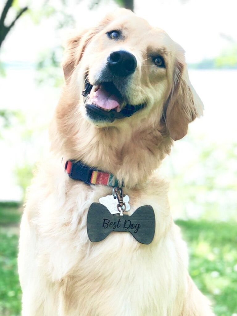 Best dog tag for wedding