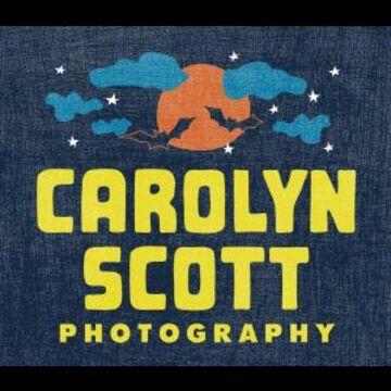 Carolyn Scott Photography - Photographer - Raleigh, NC - Hero Main
