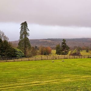 Gallery Photo 131