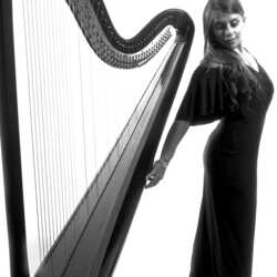 Chiara Solar Harpist, profile image