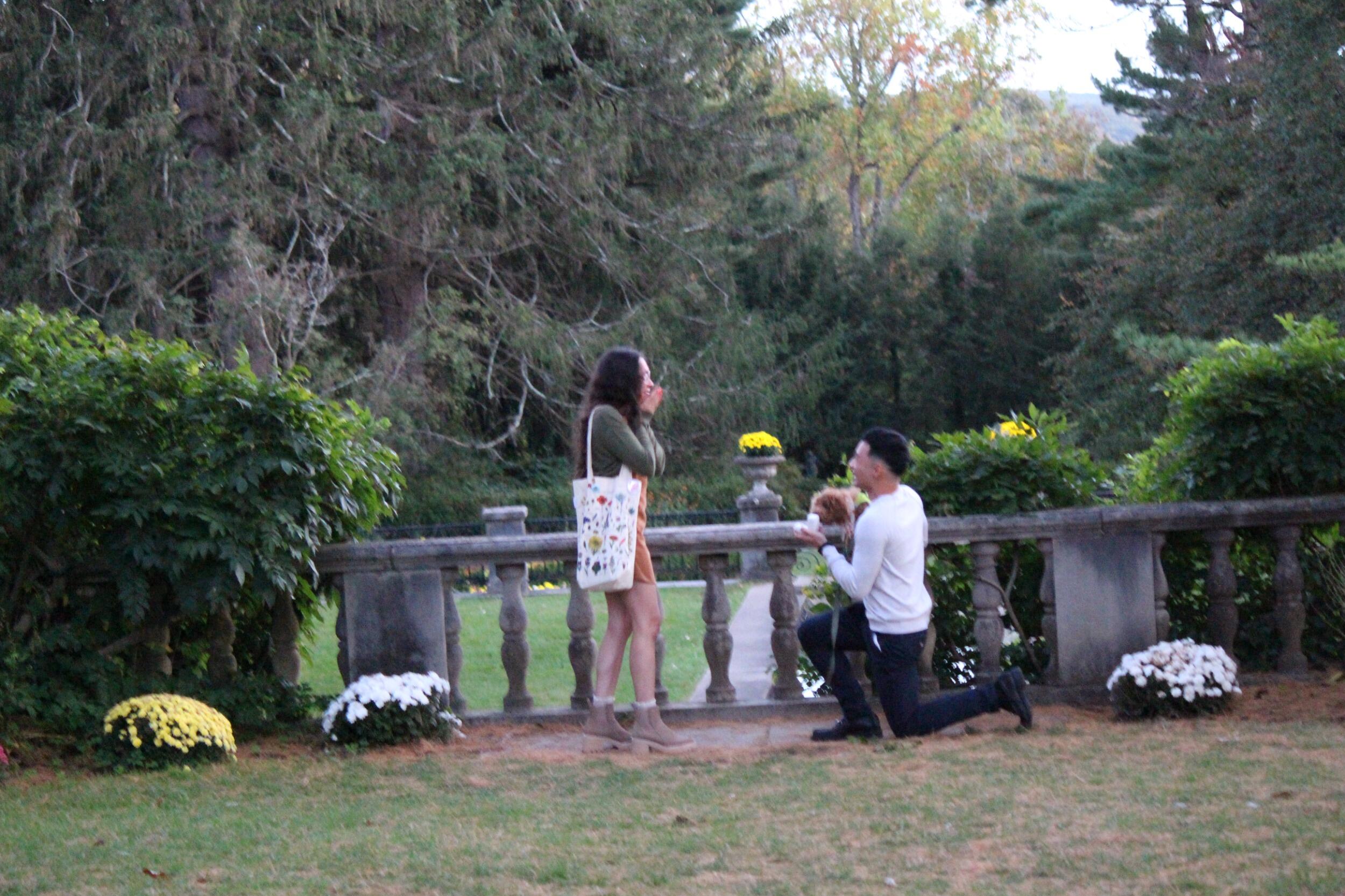 The Proposal! (ft. Kiwi)