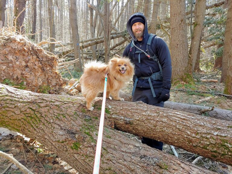 D'Artagnan moved upstate. True love could not be kept apart. 
