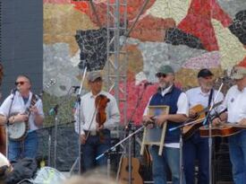 The Weavils - Bluegrass Band - Seattle, WA - Hero Gallery 2
