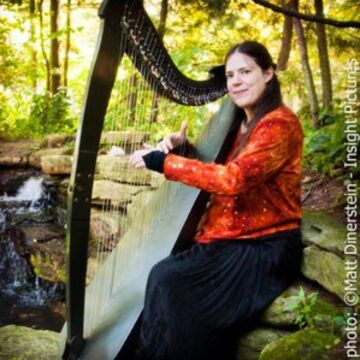Annette Bjorling - Harpist - Chicago, IL - Hero Main