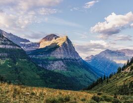 Paradise Meadows in Montana