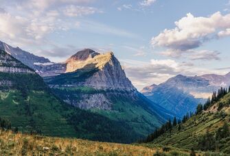 Paradise Meadows in Montana