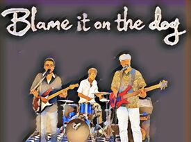Blame it on the Dog Band - Reggae Band - Norwalk, CT - Hero Gallery 1
