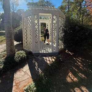 Gallery Photo 5