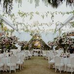 a tented wedding with lush greenery and tall pink and green centerpieces